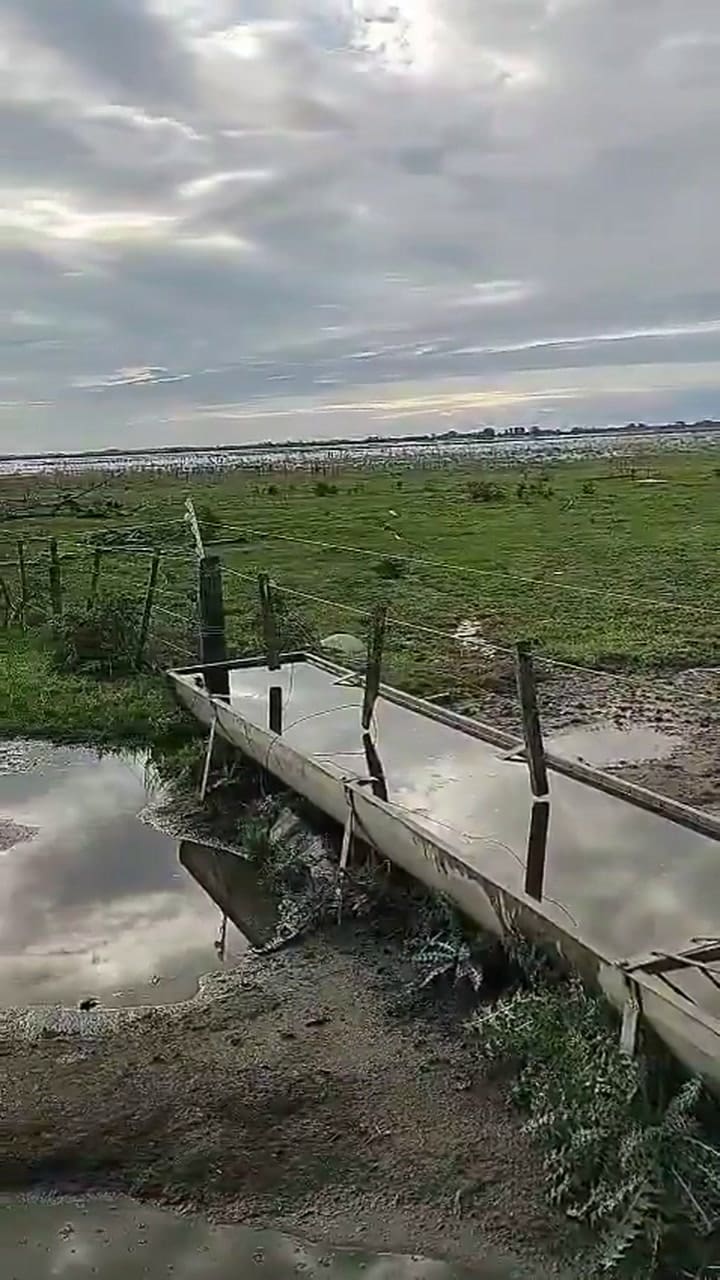 Inundaciones en los campos de Chivilcoy por falta de obras