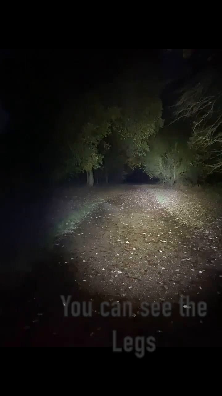 Hannah Rowett comparte aterrador momento en el bosque