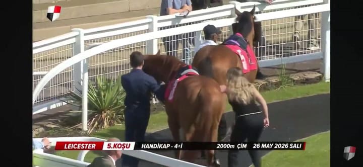 Una mujer recibió una patada brutal de un caballo durante una carrera en un hipódromo de Reino Unido