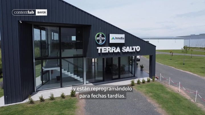 Campaña Gruesa 25/26. Estrategias, genética y soluciones integradas para maximizar el rendimiento en maíz tardío