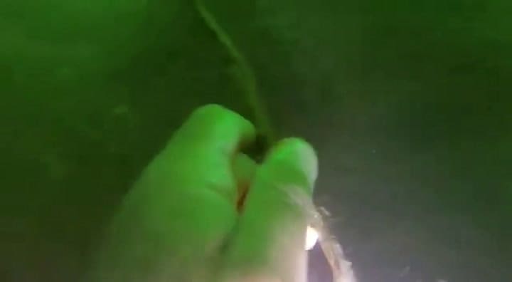 Robaron las barricas de 'Kroᥒomᥱthᥱr' Proyecto Barricas, cerveza macerada bajo el mar