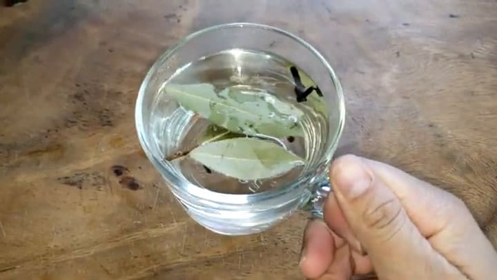 Té de clavo de olor y laurel: qué dicen los especialistas sobre sus efectos en la salud