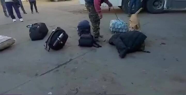 Detuvieron a un ciudadano italiano con 11 kilos de cocaína