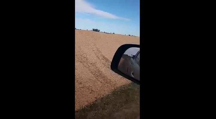 Destrucción de silobolsa