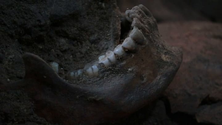 México: hallan 119 calaveras en una torre de cráneos del período azteca - Fuente: AFP