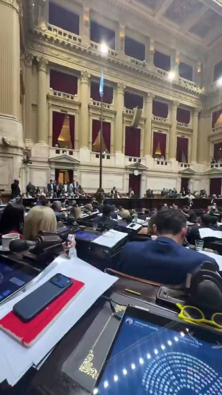 El video que publicó Karen Reichardt en el Congreso durante la votación de la reforma penal juvenil