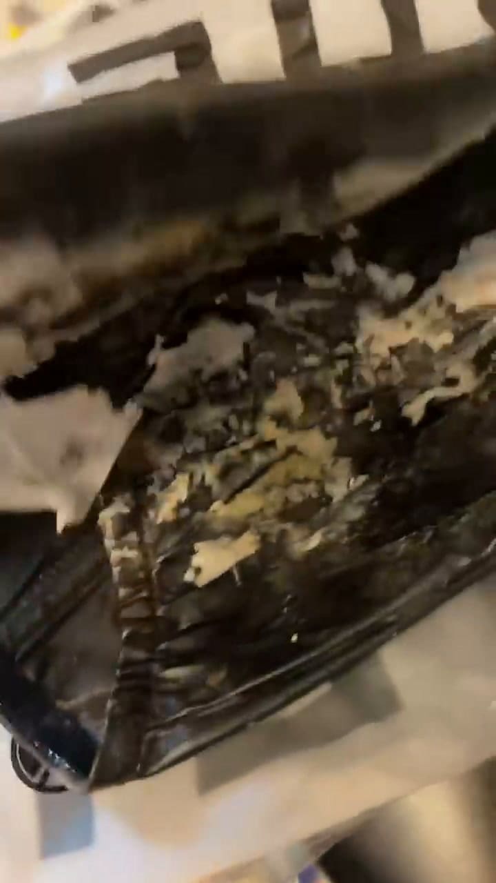 Le sorprendió su ropa de Shein y dijo que vomitaría del asco