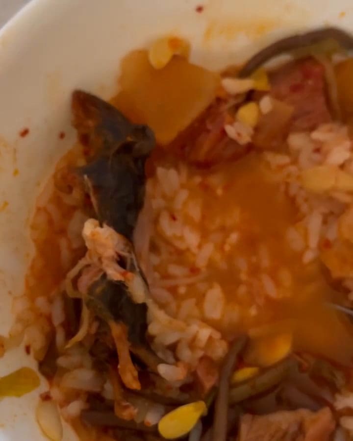 Una pareja encontró una rata muerta en la comida que compraron en un restaurante de Nueva York