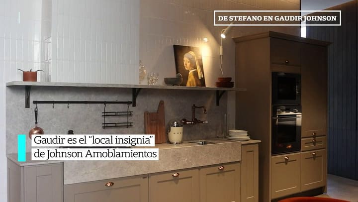 GAUDIR JOHNSON DESTEFANO