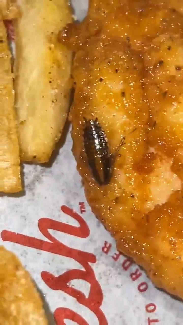 Una mujer compartió el hallazgo que hizo en su comida en un restaurante de Florida