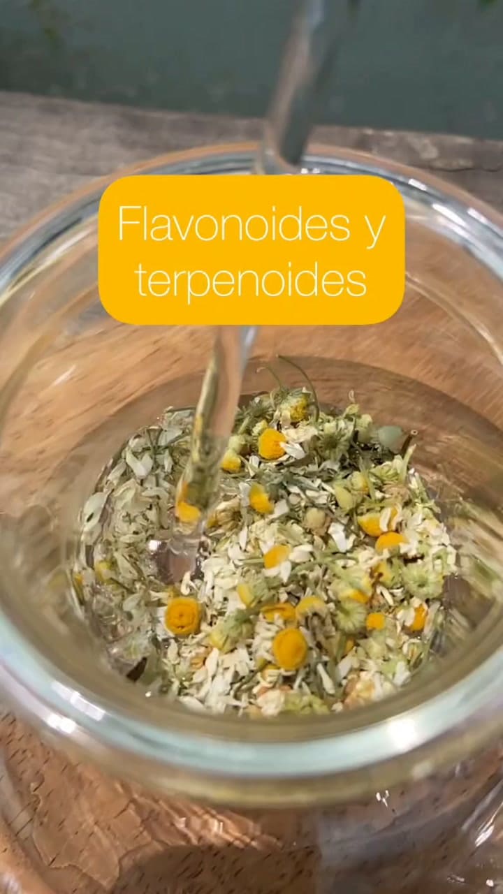 Los beneficios de la manzanilla