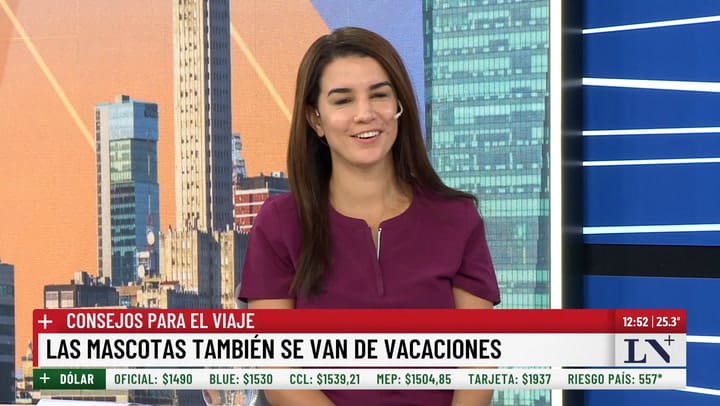 Las mascotas tambien se van de vacaciones