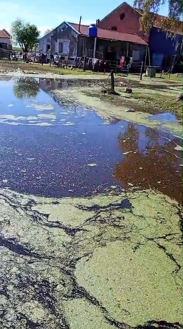 El campo de la familia afectada