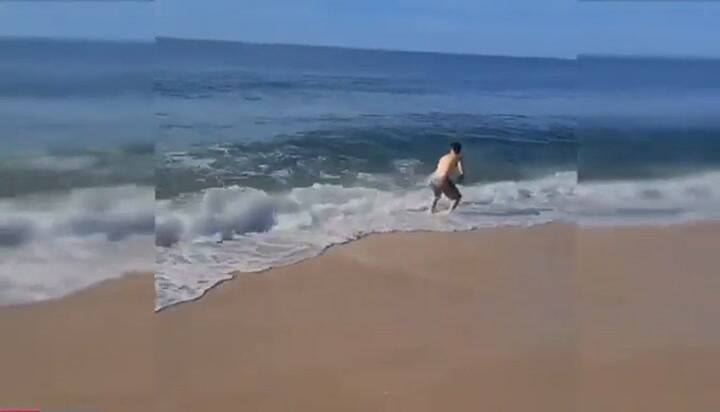 Un bañista luchó contra un tiburón en Nueva York y lo acabaron en redes