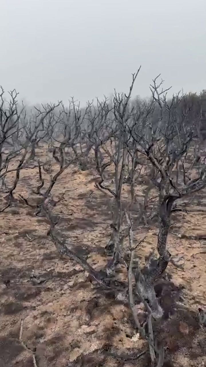 Así quedó Esquel después de los incendios
