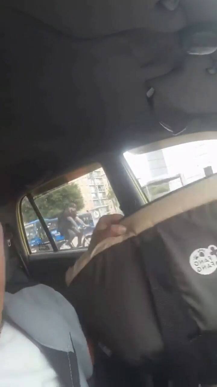 Un taxista contó cómo abandonaron a un perro en su auto y clamó por un nuevo hogar adoptivo