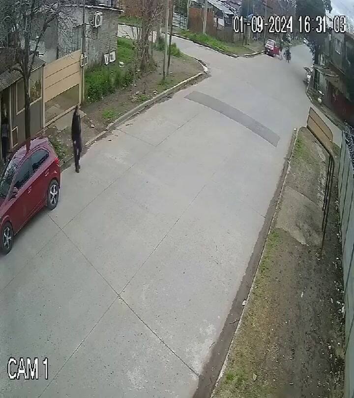 Robo motochorros Merlo