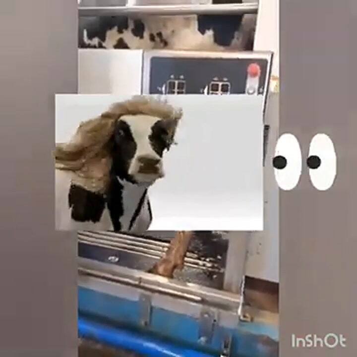 Video viral de niño en un tambo robotizado