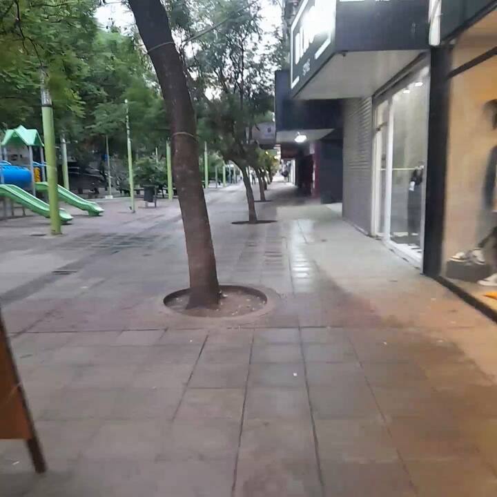 La peatonal, vacía, en el centro de Bahía Blanca