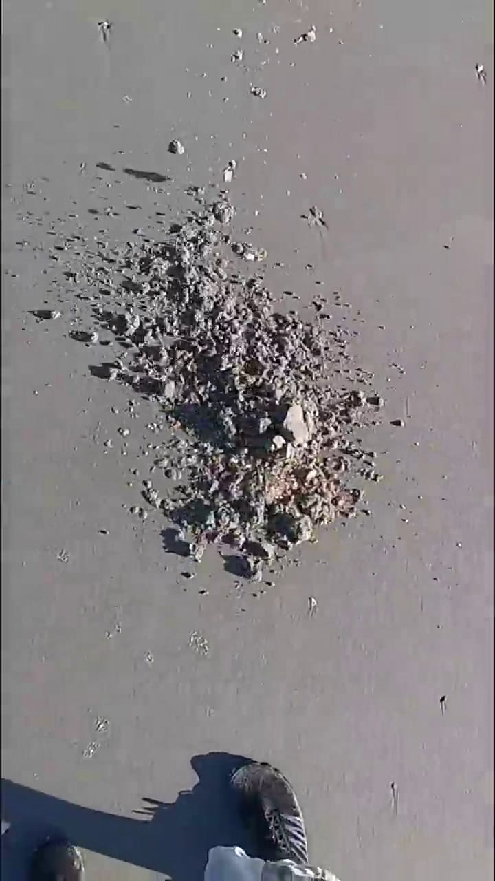 El hombre se dedica a hacer increíbles hallazgos en la playa con su detector de metales