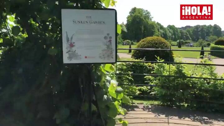 Video HOLA / Tadeo Jones