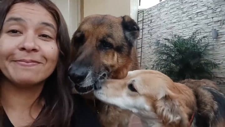 El perro ovejero aleman llamado Rodrigo De Paul