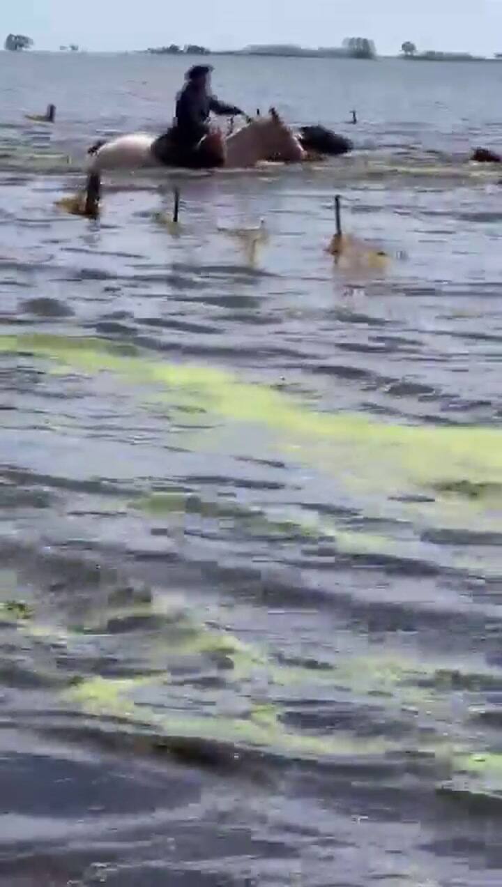 Así se mueven todavía los productores ganaderos en el partido