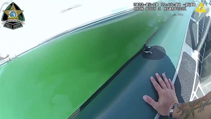 El asombroso rescate de un delfín que luchaba por su vida en las costas de Florida