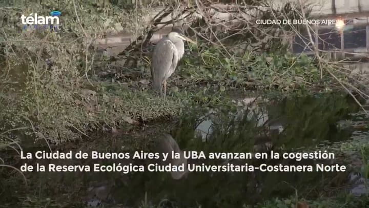 La otra reserva ecológica: un pulmón verde en la zona norte de la ciudad que pocos conocen