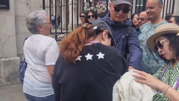 Fue mordida por un caballo de la Guardia Real