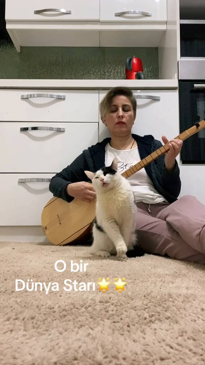 La sorprendente historia de Azim, el gatito viral que curó su enfermedad a través de la música