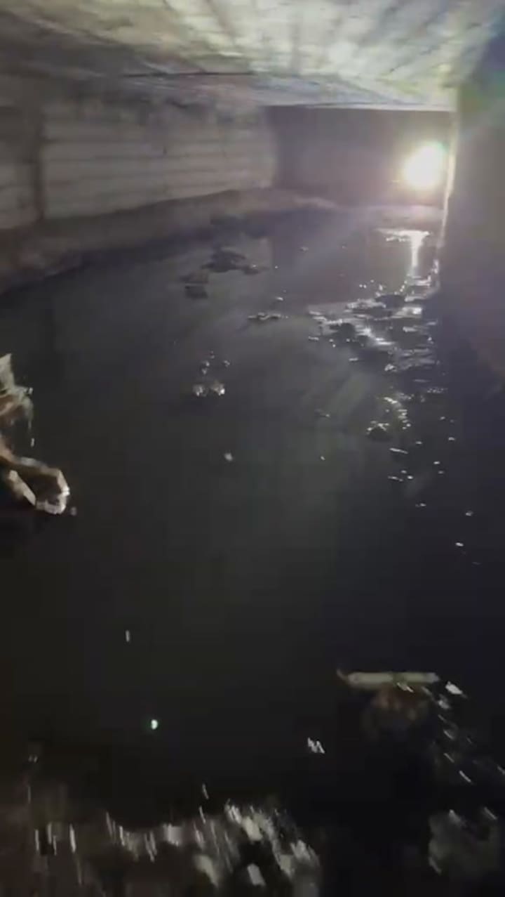 A Benito lo rescataron en un desagüe