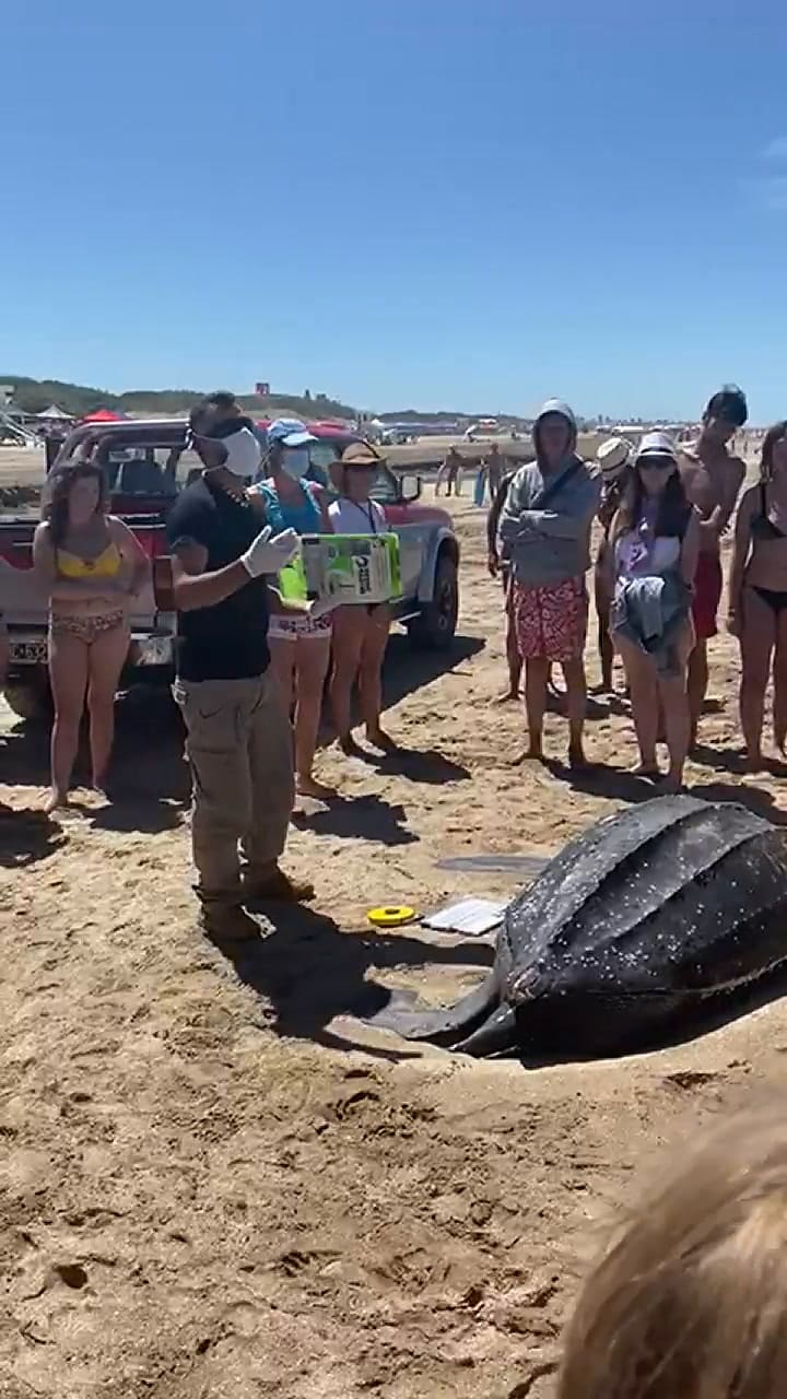 Alan Rosenthal, de la ONG Asociación Naturalistas Argentinos