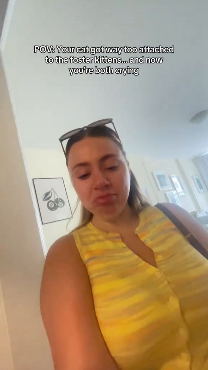 El video de la gatita que emocionó en redes sociales
