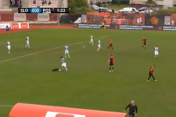 El momento en que el perro irrumpe en el partido