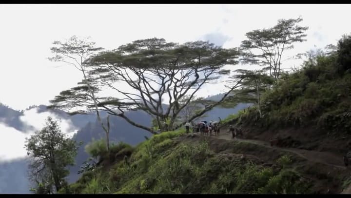 Trailer de la Sal de la tierra - Fuente: YouTube