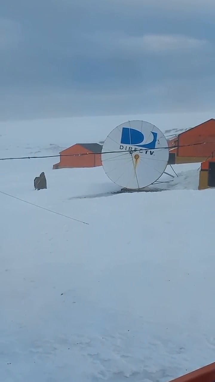 Un joven mostró cómo es ir al gimnasio en la Antártida