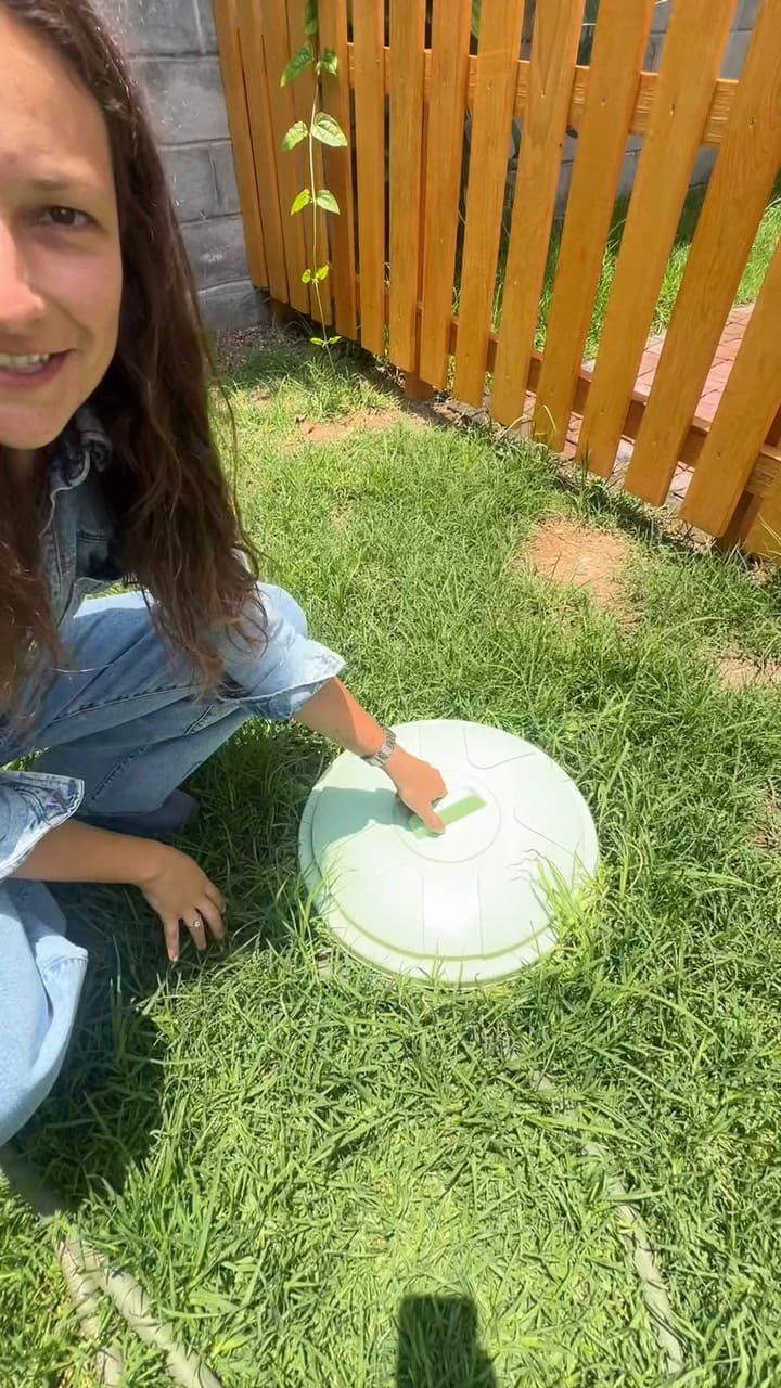 ¿Cómo generar una composta de caca de perro?