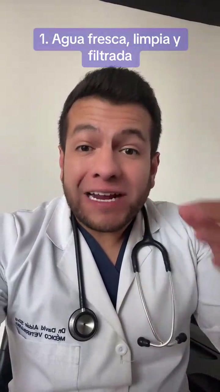 El veterinario David Robert Aldás Silva dio consejos para la hinchazón del perro