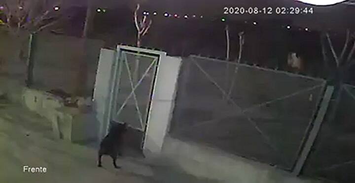 Así arrojaron a una mujer asesinada a una zanja