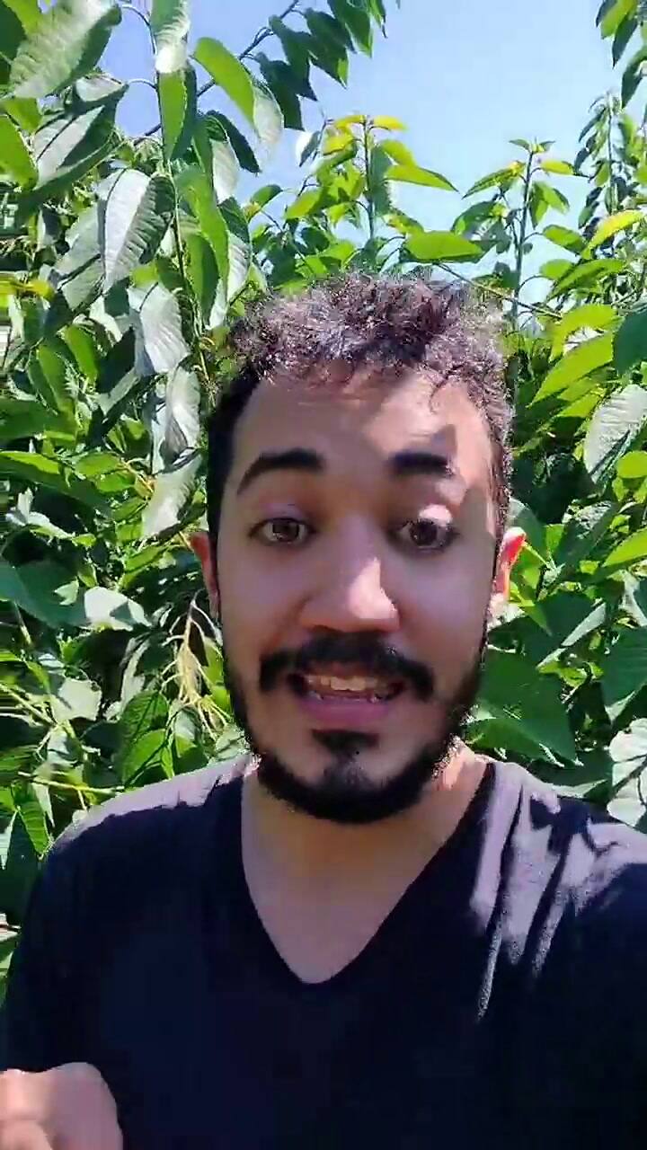 Cosecha frutas en Canadá y reveló la impactante suma que gana: “No te piden nada”