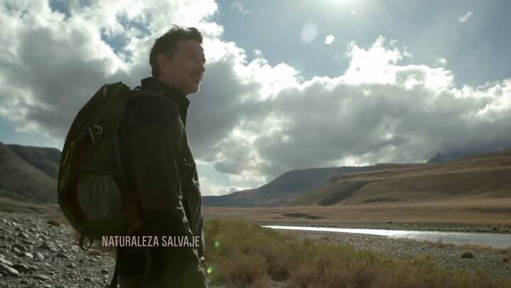 Adelanto de Naturaleza Salvaje - Fuente Discovery