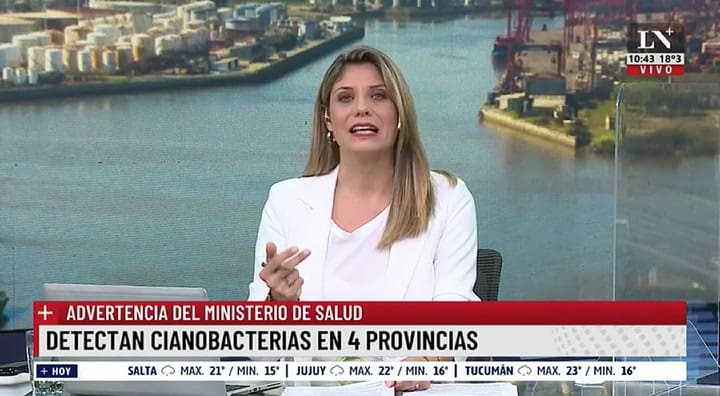 Cianobacterias: qué son y cómo cuidarse