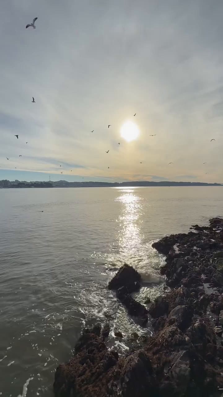 Especialistas vincularon el desplazamiento con la búsqueda de espacio propio