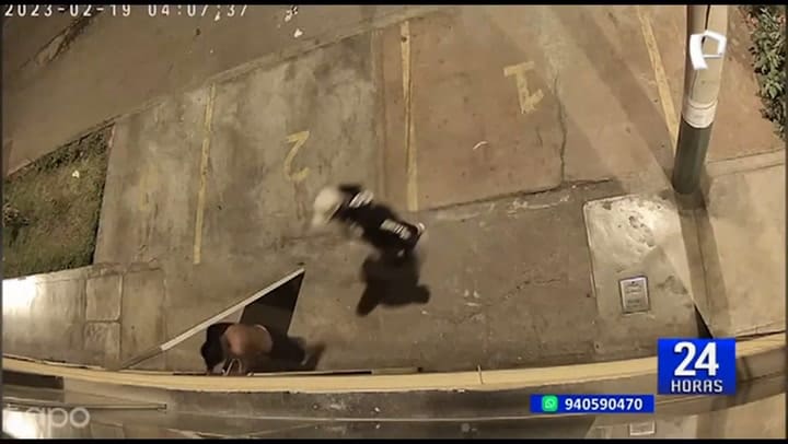 Robaron en un gimnasio y un ladrón se olvidó el DNI en el lugar