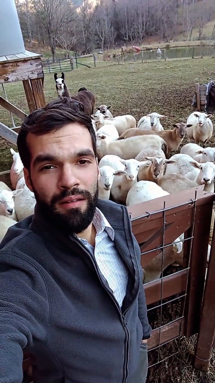 Oveja! Oldie But Goodie. Crazy How Deeply One Can Connect With Livestock And Be Trusted By Them When Handled In A Low-stress High-happiness Regenerative System.