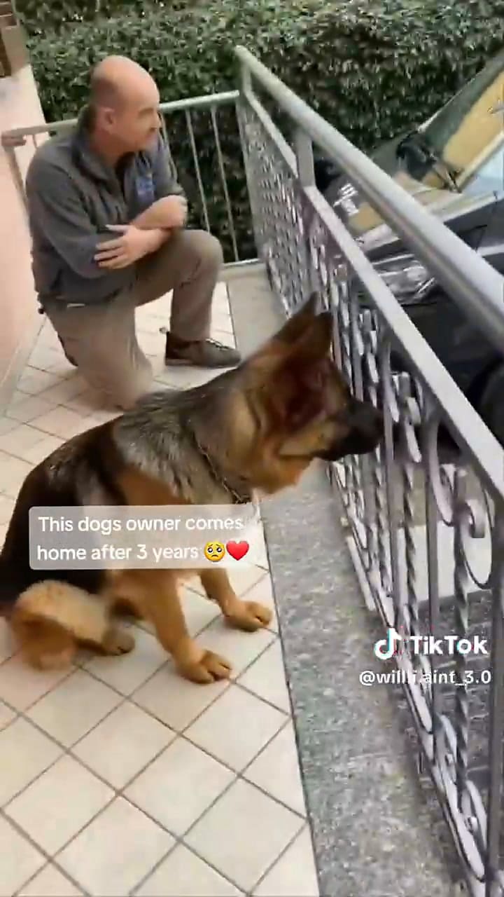 El reencuentro que emocionó a todos