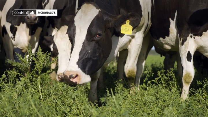 McDonalds Franck WEB V7