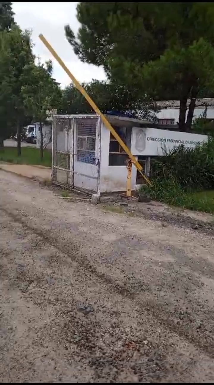 Whatsapp Video 2024-02-24 At 19.33.06