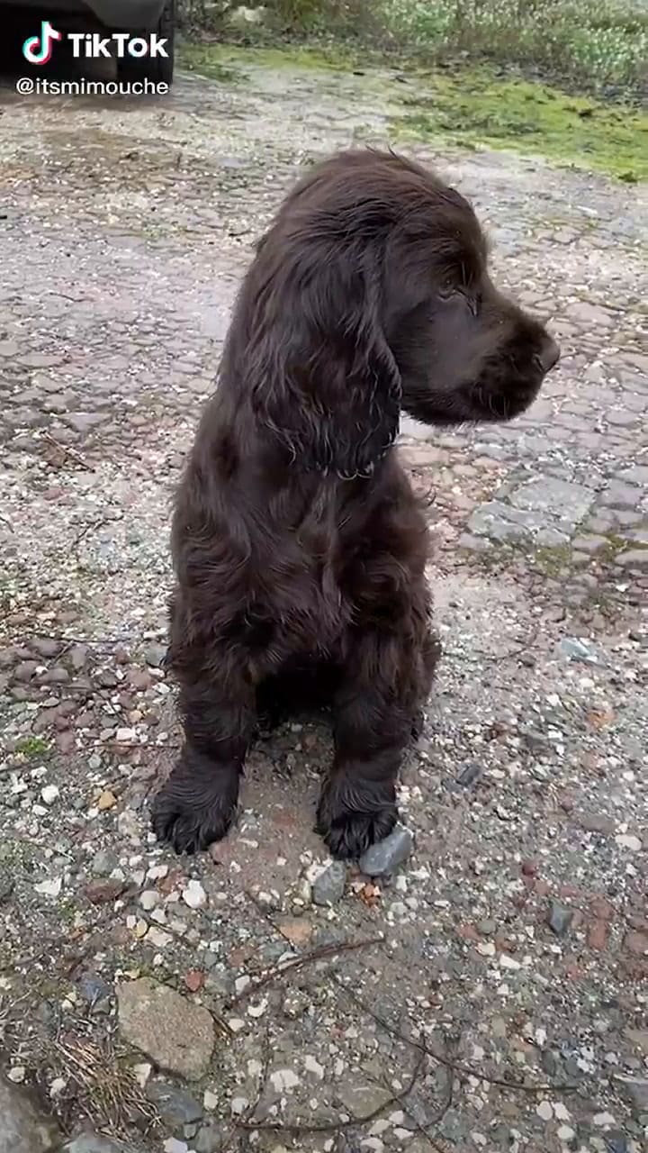 Finalmente, Salvador logró su objetivo y pudo salir de paseo